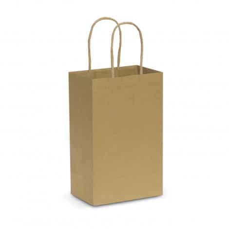 Paper Carry Bag - Small - Positive Signs + Print