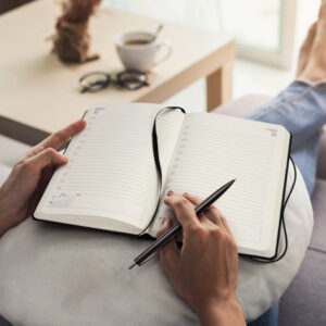 Daily Diary - 2026